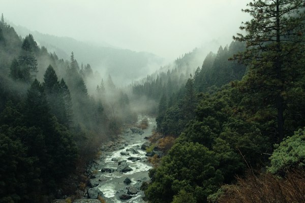 Analysis